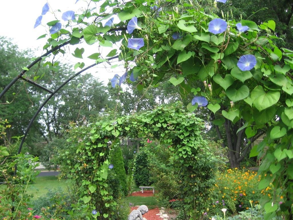 Covington Manor B&B Cambridge ภายนอก รูปภาพ